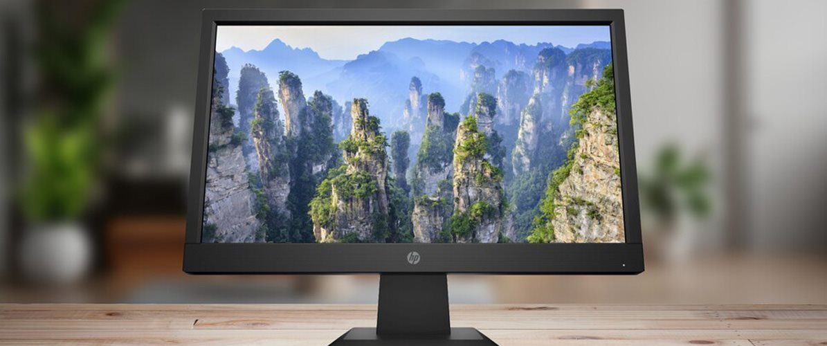 HP P204v Monitor