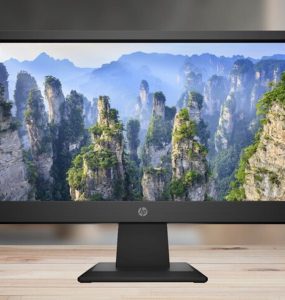 HP P204v Monitor