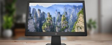 HP P204v Monitor