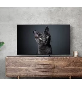 Samsung 65 OLED 4K Smart TV